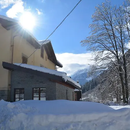 Tedaldi